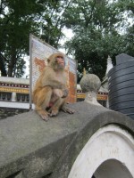 /album/galerie-de-photos/img-0222-jpg/